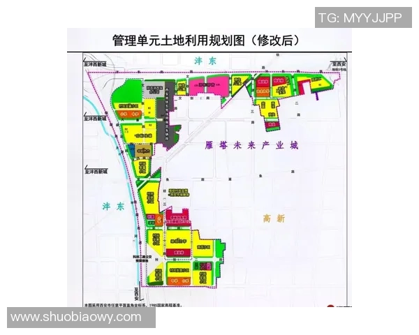 西安排球队近期状态分析与未来发展趋势探讨